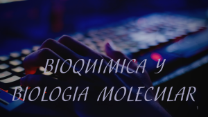 Moodle